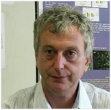 Alessandro De Angelis (Fisico)