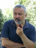 Remo Bassini
