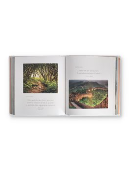 365 Giorni di Immagini e Pensieri per Celebrare la Vita — Libro - 2