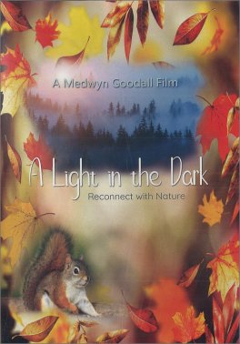 A Light in the Dark — DVD - 1