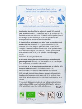 After Dinner- Tisana Pukka Bio - 3