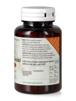 Agaricus Blazei Basic - 2