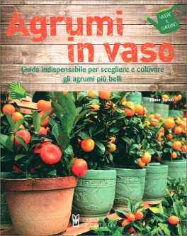 Agrumi in Vaso — Libro - 1