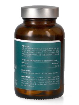 Alga Carrighenani - 2