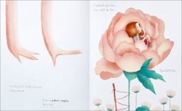 Ali di Lana — Libro - 3