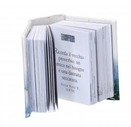 Piccoli Libri Tascabili con Frasi che Inspirano — Libro - 3