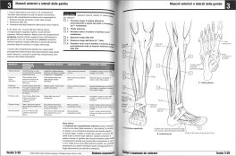 Anatomia da Colorare — Libro - 3