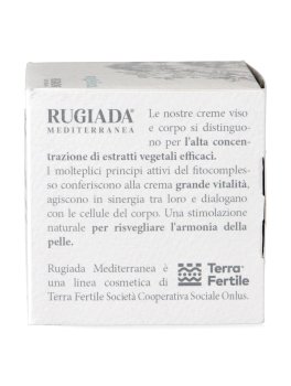 Angelica - Crema Viso Giorno e Notte - 4