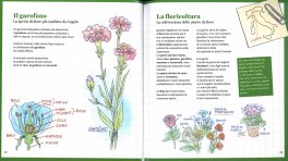 Angelo, il Dottore dei Fiori — Libro - 3