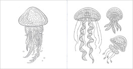Art Activity - Meduse — Libro - 3
