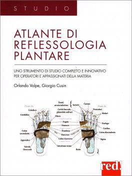 Atlante di Riflessologia Plantare — Libro - 1
