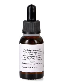 Auricularia MTS 2 - Gocce - 4