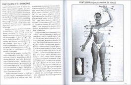 Ayurveda e Aromaterapia — Libro - 3