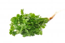 Semi di Coriandolo (Coriandrum sativum) Bio - 1