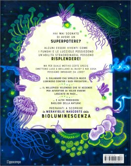 Bagliori — Libro - 2