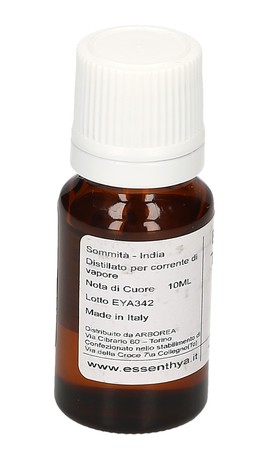Basilico Tulsi Bio - 3