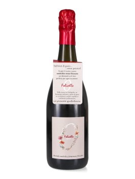 Bevanda Analcolica Fermentata Frizzante "Folicello Zero" - 1