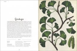 Botanicum — Libro - 3