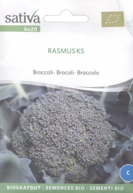Semi di Broccolo Rasmus Ks - 1