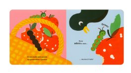 Bruco — Libro - 3