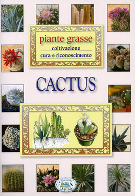Cactus   — Libro - 1