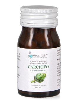 Carciofo - 2