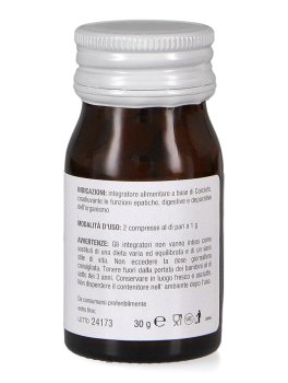 Carciofo - 3