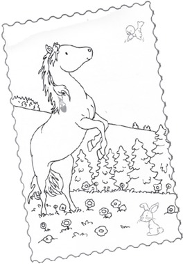Cavalli e Pony — Libro - 4