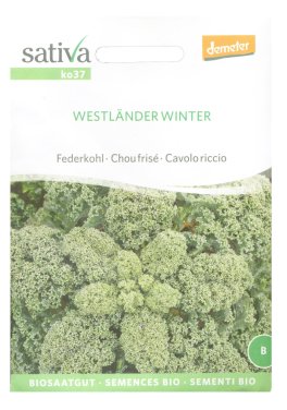 Cavolo Riccio Westländer Winter - 1,25Gr (Ko37) - 1