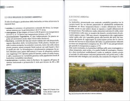 Cece e Lenticchia — Libro - 3