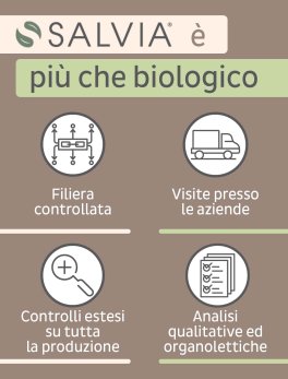 Ceci Bianchi Bio - 4