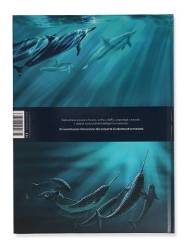 Cetacei — Libro - 5