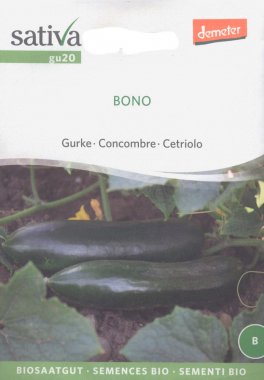 Semi di Cetriolo Bono - 25 Semi - 1