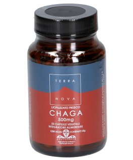 Chaga - 1
