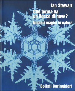 Che forma ha un fiocco di neve? — Libro - 1