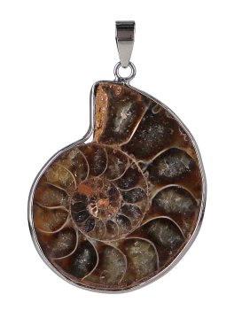 Ciondolo in Ammonite - 1
