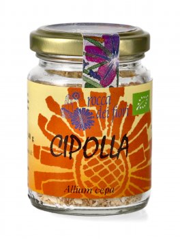Cipolla - 1
