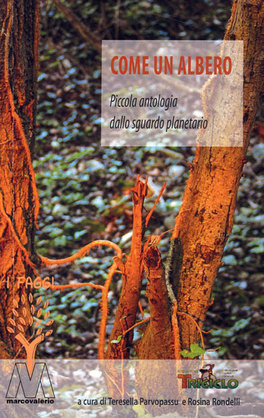 Come un Albero  — Libro - 1