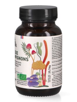 Complexe 5 Champignons Bio - Capsule - 3