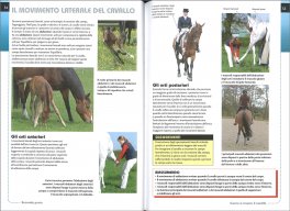 Conoscere i Movimenti del Cavallo — Libro - 3