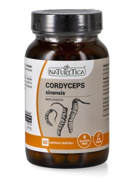 Cordyceps Sinensis - 1