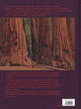 Cortecce — Libro - 2