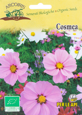 Semi di Cosmea - 1