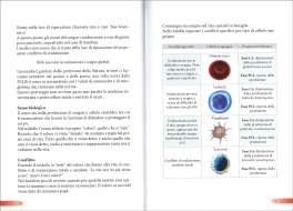Cuore — Libro - 3