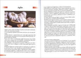 Cuore — Libro - 4