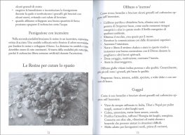 Curare l'Energia della Casa — Libro - 3