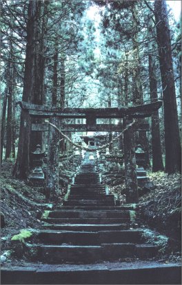 Daishizen — Libro - 3