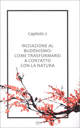 Daishizen — Libro - 4