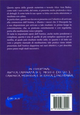 Dall'Intelletto all'Intuizione — Libro - 2