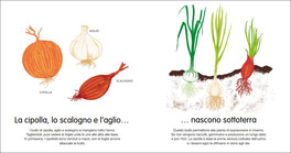 Dimmi da Dove Nasce... — Libro - 5